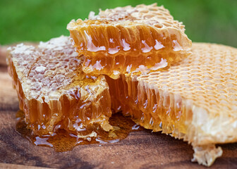 honey and honeycombs. just from the bee hive. close-up photography.