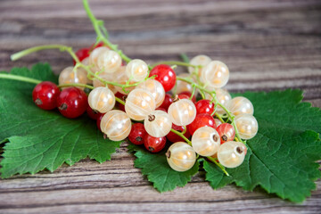 Red and white currants with green leaves in a heap close-up. Berry background from ripe berries.