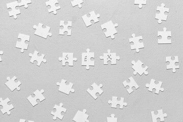 Naklejka premium Puzzle pieces with word SEX on grey background