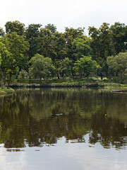 Fototapeta na wymiar Lake in the park