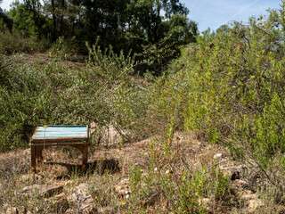 old wooden stool in the middle of nature