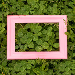 An empty pink frame on the grass. Frame in a clover.