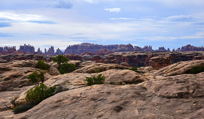 dramatically eroded  needles rock formations and slickrock as seen along the slick rock foot trail in the needles district of  canyonlands national park, near moab, utah 
