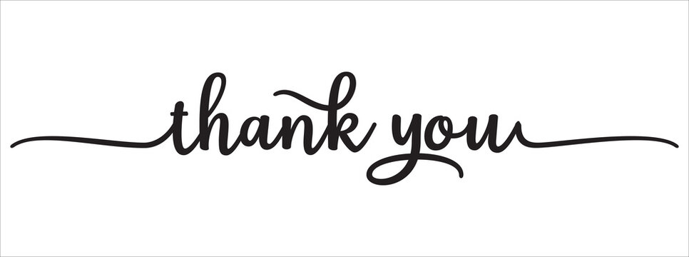 thank you hand lettering design. thank you calligraphy. thank you text typography letter vector graphic design for greeting card label and web banner.