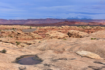 Fototapeta premium eroded rock formations, slick rock, potholes,and la sal mountains with a stormy backdrop along the slickrock foot trail in the needles district of canyonlands national park, near moab, utah