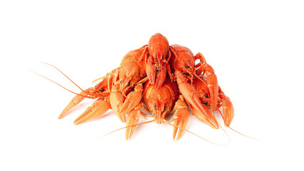 boiled crayfish isolated on white. a bunch of crayfish
