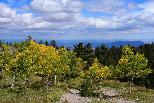 view of mountains and pretty golden aspen trees in fall  from  sandia peak, near albuquerque,  new mexico
