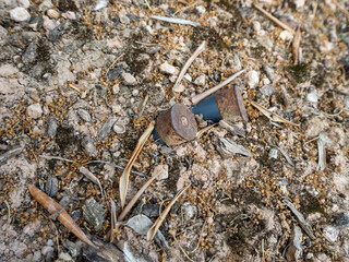 bullet cartridges stuck in the ground