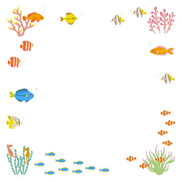 熱帯魚のフレーム　背景素材　白　正方形