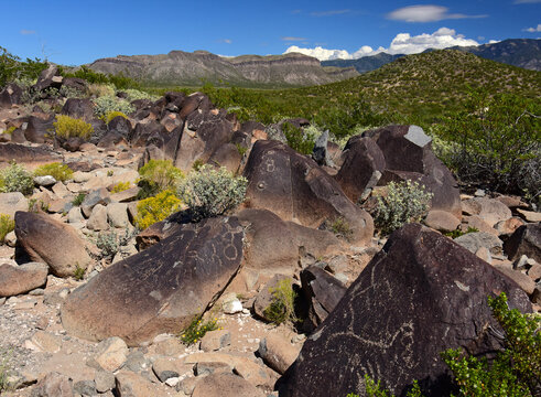the ancient native american petroglyphs on a sunny fall day at three rivers petroglyph site, near tularosa, new mexico