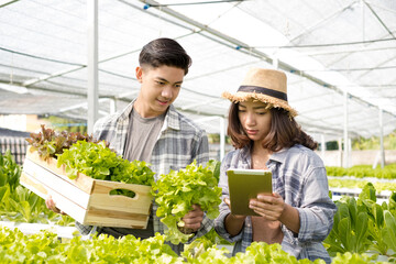 Naklejka na ściany i meble Hydroponics, two Asian farmers own a vegetable farm, use a tablet to monitor temperature control, and record leaf growth quality on the farm. Small business entrepreneurial concept