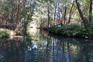 Spreewald bei Luebbenau