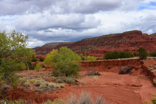 colorful red rock  desert wash and eroded hillside on a stormy fall day near jemez springs, new mexico 