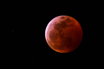 Obraz na płótnie Canvas the super blood wolf moon lunar eclipse of january 2019
