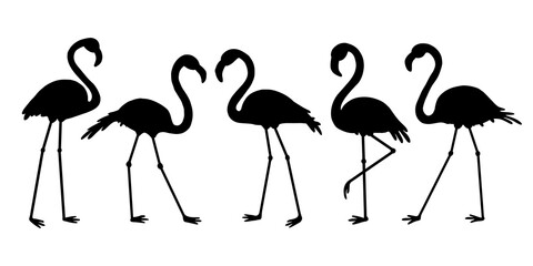 Flamingo silhouette.