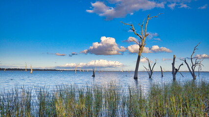 Puffy Clouds and Sun Setting Over Lake Mulwala