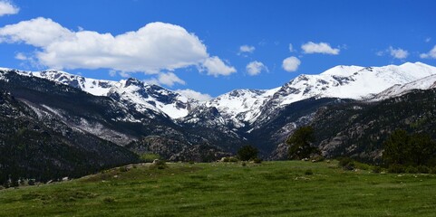 Fototapeta premium snow-capped mountain peaks and green meadow in spring in the moraine park area of rocky mountain national park, colorado