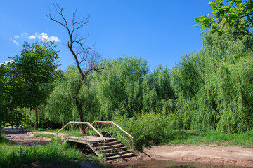 Fototapeta na wymiar Footbridge for passing brook in the green park . Walking path in the summer park 