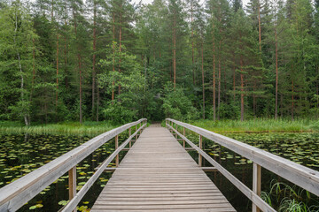 View of the wooden bridge over Haukkalampi pond in summer, Nuuksio National Park, Espoo, Finland