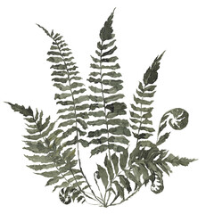 Naklejka premium Watercolor vintage illustration with wildflowers and forest herbs, isolated on white background