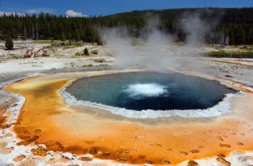crested pool hot spring and orange microbial mat  in the old faithful geyser basin of  yellowstone national park, wyoming