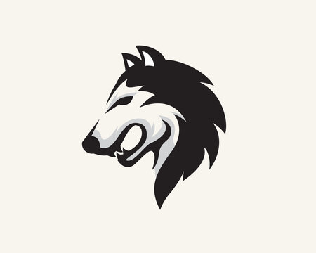 head wolf coyote drawing art logo design illustration inspiration