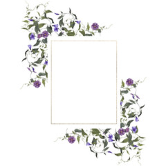 Watercolor vintage frame with wildflowers, forest herbs, isolated on white background
