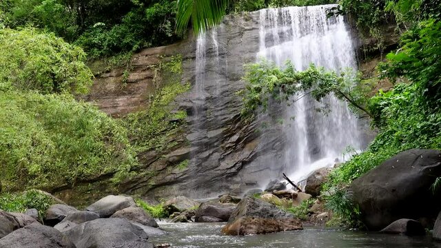 The beauty of a waterfall in the jungle with trees and palms.