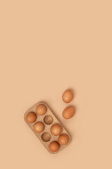 Natural organic eggs in wooden egg box on beige background. Compositions in monochrome colors. Zero waste, farm-to-table concept