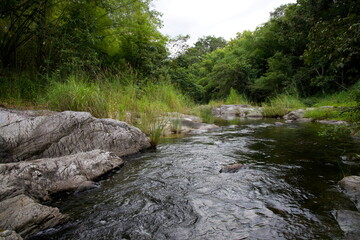 Stream In The Wood, Countryside Of Thailand.