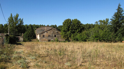 Obraz premium Paisajes de campos de cultivo en verano.