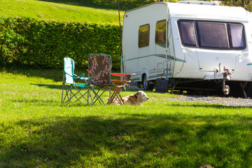 Elderly dog lies happily by sunchairs on caravan site in rural Wales enjoying the opportunity of a...