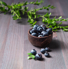 sweet fresh blueberries in a bowl  with green brunch on a wooden  background. Front  view and close up