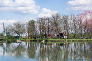 Fototapety na wymiar - Fototapeta24.pl