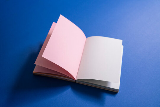 Blank pages in open journal

