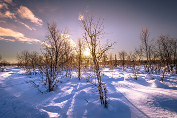 Winter landscape in Jukkasjärvi, Swedish Lapland