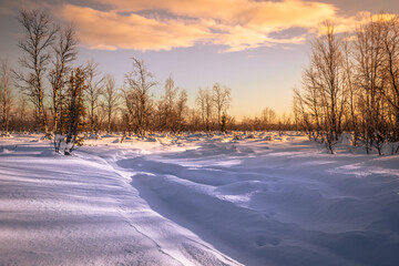 Obraz premium Winter landscape in Jukkasjärvi, Swedish Lapland