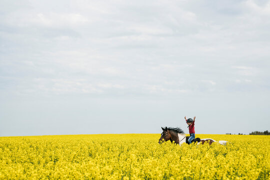 Carefree girl riding horse in sunny yellow canola field
