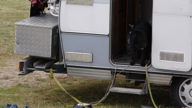 Black dog in camper car. Motorhome traveling with animals pets. Slow motion.