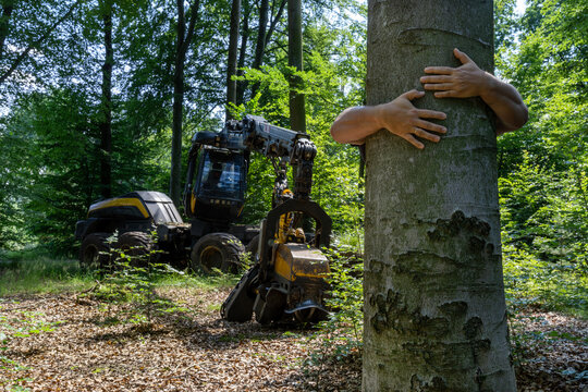 Environment and respect for Earth nature concept - adult man hugging a green tree in the forest - save the planet and climate change - defocused background with Wood harvesting machine