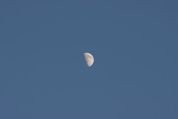 Moon in the evening sky.