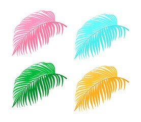 Fototapeta na wymiar Tropical Palm Leaf collection vector illustration isolated