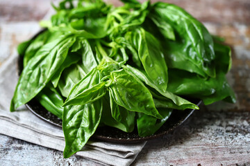 Selective focus. Fresh juicy basil on a plate.