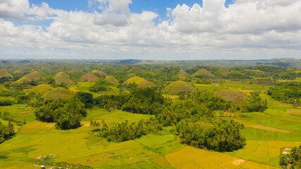 Obraz premium Aerial view of Chocolate hills in Bohol island,Philippines. Hills covered with grass and vegetation.