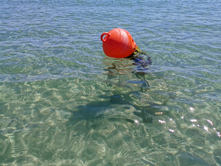 beautiful background bright orange buoy with algae in the salty clear sea for safety