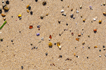 tropical beach in Australia