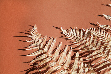 Floral composition of dyed branch fern on drown background with deep shadow. Botany styled. Art concept. Minimal concept background.