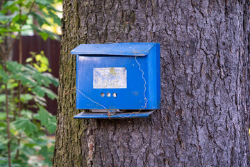An old blue mailbox is attached to a tree trunk and casually tied with wire. There is an erased plaque on the outside and correspondence on the inside. Background. Texture.