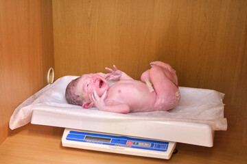 Weighing a newborn baby on a scale in a maternity hospital