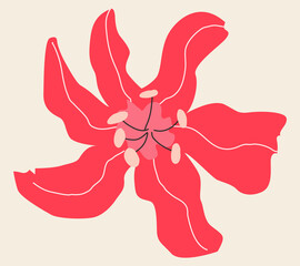 Beautiful vector flower. Design element, pink flower